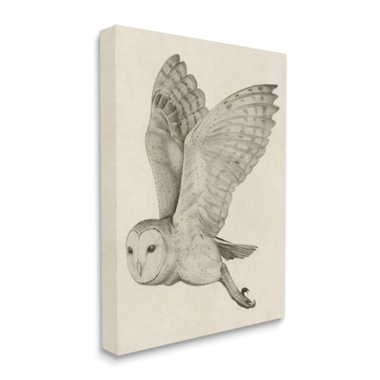 Stupell Industries Flying Barn Owl Wings Detailed Drawing Canvas Wall Art